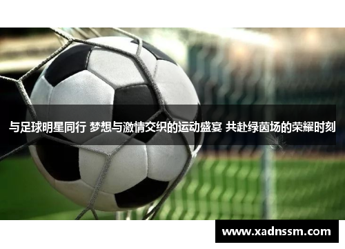 与足球明星同行 梦想与激情交织的运动盛宴 共赴绿茵场的荣耀时刻