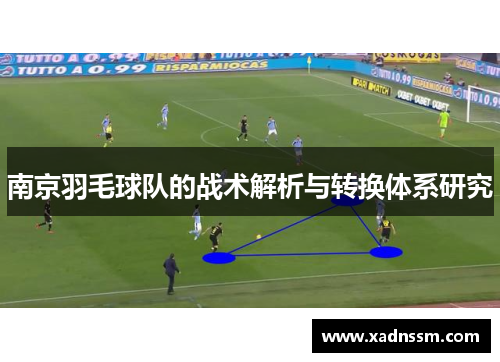 南京羽毛球队的战术解析与转换体系研究
