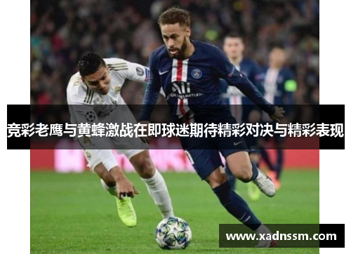 竞彩老鹰与黄蜂激战在即球迷期待精彩对决与精彩表现